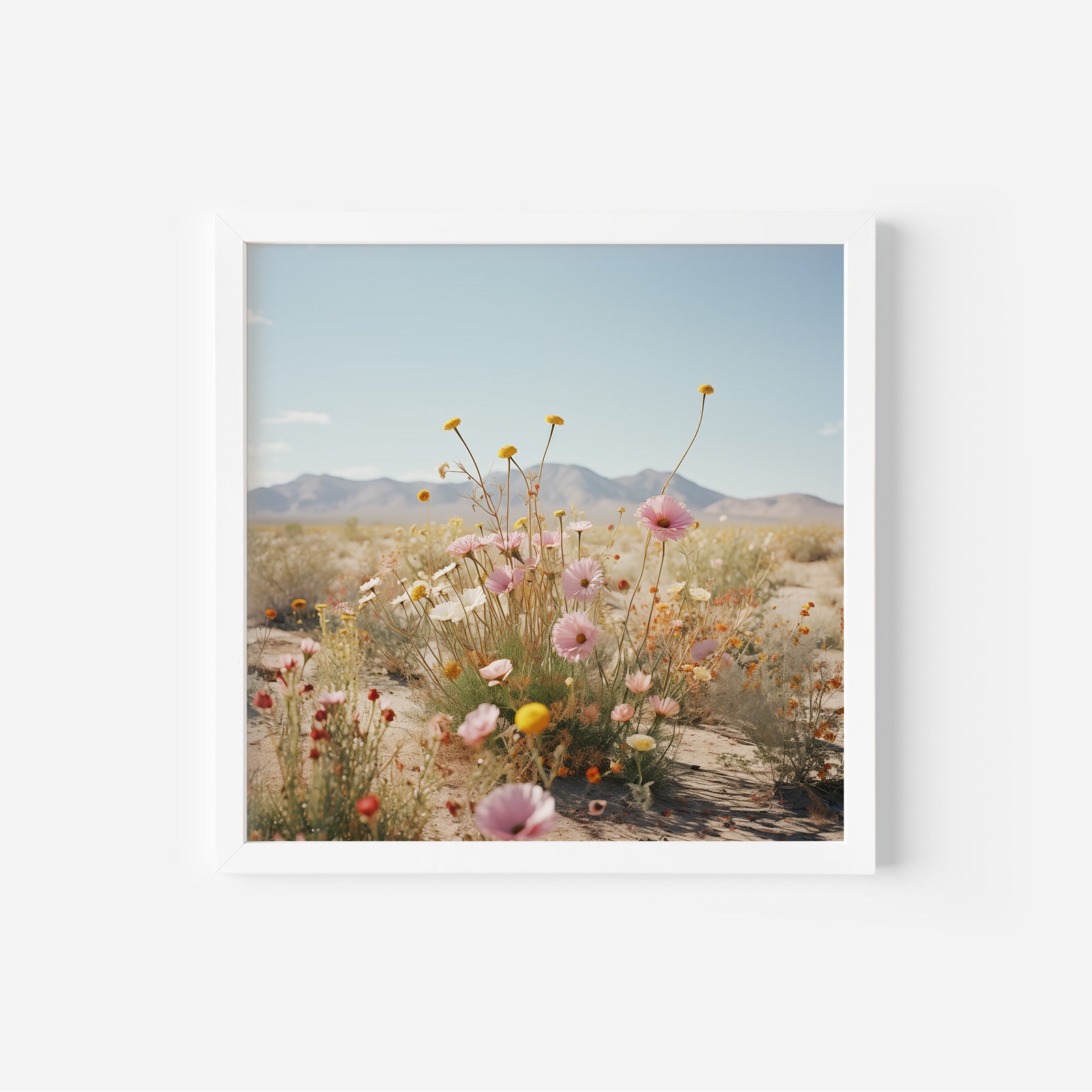 Wildflowers in the Desert