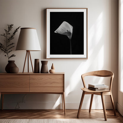 Lily in Monochrome • Fine Art Photo Print